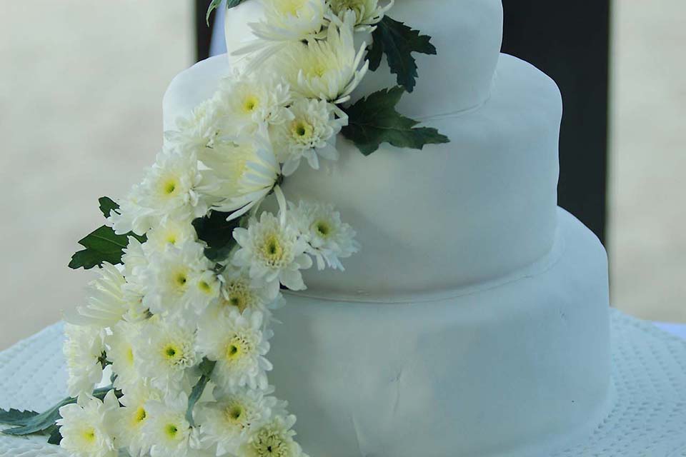 Wedding Reception  - Mimosa Resort & Spa